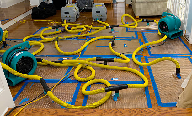 Professional Water Damage Repair technician working in Paden City, WV