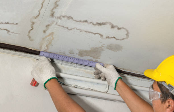 Affordable Water Damage Repair solutions in Paden City, WV